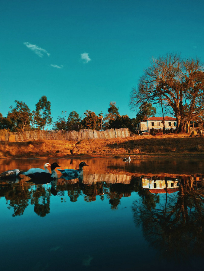 水質(zhì)檢測(cè)